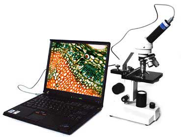 Camera For Microscope